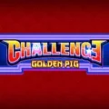Challenge Golden Pig