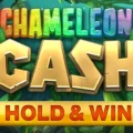Chameleon Cash