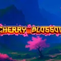 Cherry Blossom