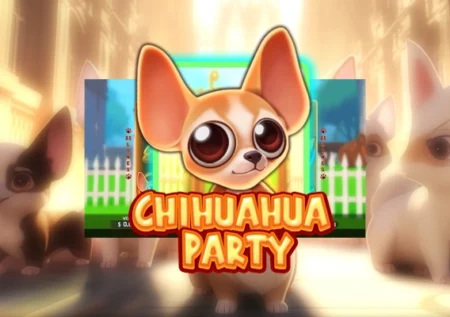 Chihuahua Party