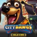 City Dawgs – Hold & Win