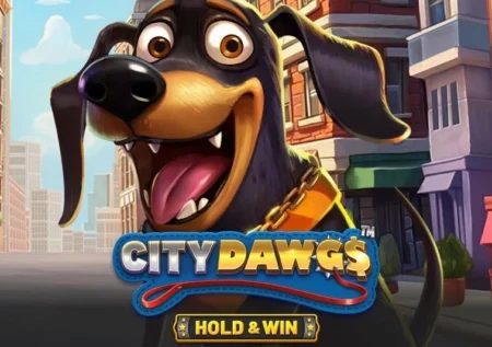City Dawgs – Hold & Win