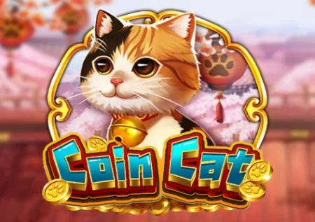 Coin Cat