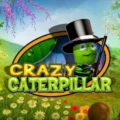 Crazy Caterpillar