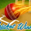 Cricket Winner