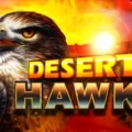 Desert Hawk