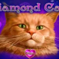 Diamond Cats