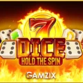 Dice Hold the Spin