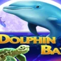 Dolphin Bay