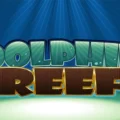 Dolphin Reef