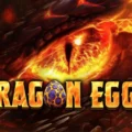 Dragon Eggs