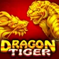 Dragon Tiger