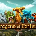 Dragons of Fortune