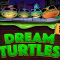 Dream Turtles