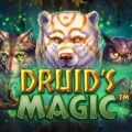 Druid’s Magic