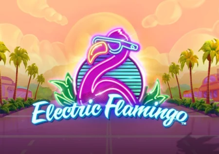 Electric Flamingo