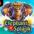 Elephant Splash
