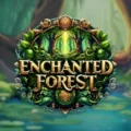 Enchanted Forest