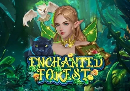 Enchanted Forest