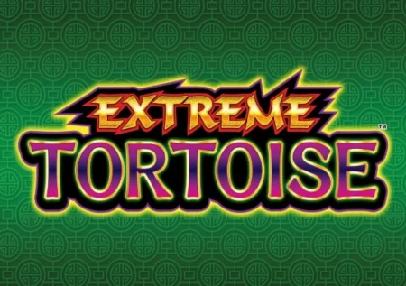 Extreme Tortoise