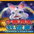 Farmer’s Fortune