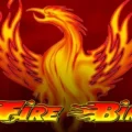Fire Bird