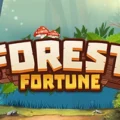 Forest Fortune