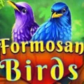 Formosan Birds