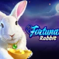 Fortunate Rabbit