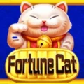 Fortune Cat