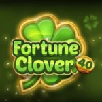 Fortune Clover 40