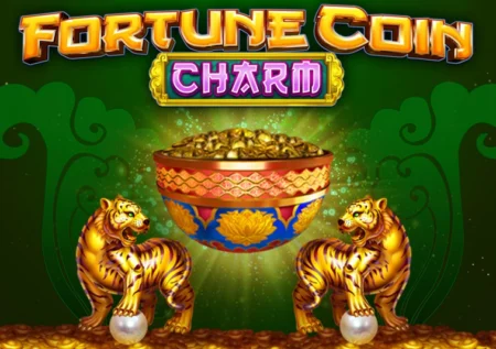 Fortune Coin Charm