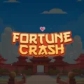Fortune Crash
