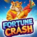 Fortune Crash