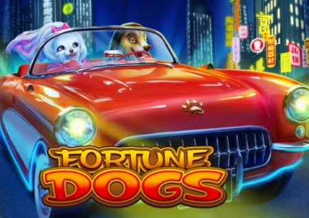 Fortune Dogs