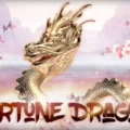 Fortune Dragon