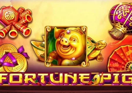 Fortune Pig