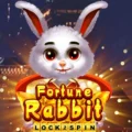 Fortune Rabbit