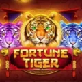 Fortune Tiger