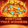 Fortune Tree Wonders