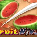 Fruit Ninja