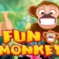 Fun Monkey