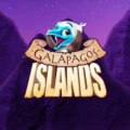 Galapagos Islands