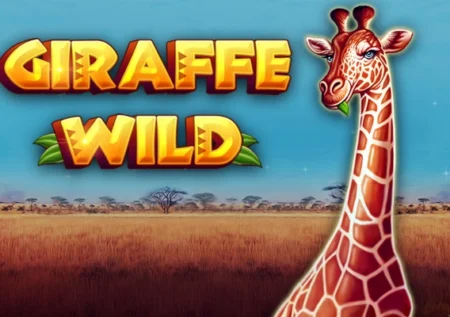 Giraffe Wild