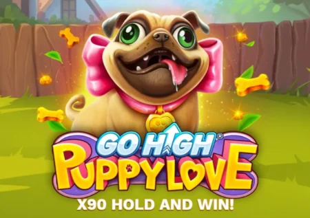 Go High Puppy Love