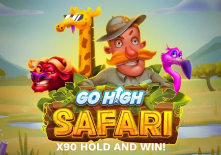 Go High Safari