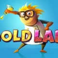 Gold Lab