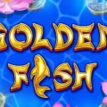 Golden Fish