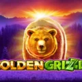 Golden Grizzly