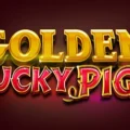 Golden Lucky Pigs